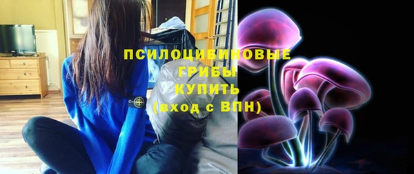 эйфоретик Осташков