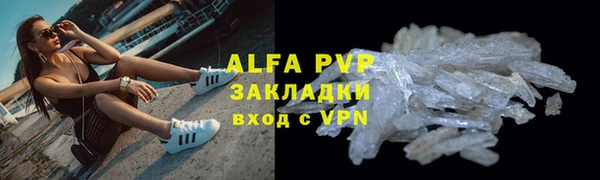 сатива Пересвет