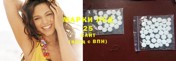 сатива Пересвет