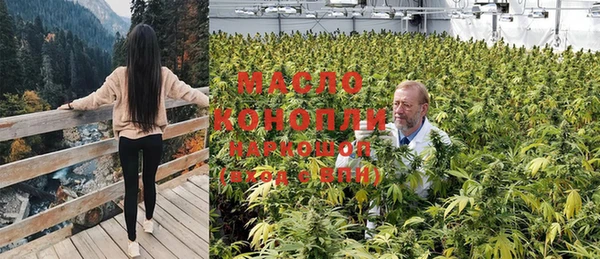 эйфоретик Осташков